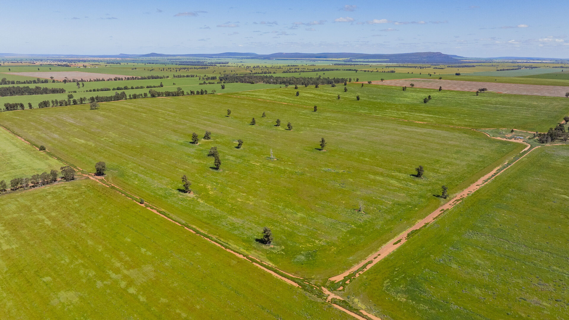 For Sale - 584 Willows Road - New Property in Ardlethan - Real Estate by Jason Haines