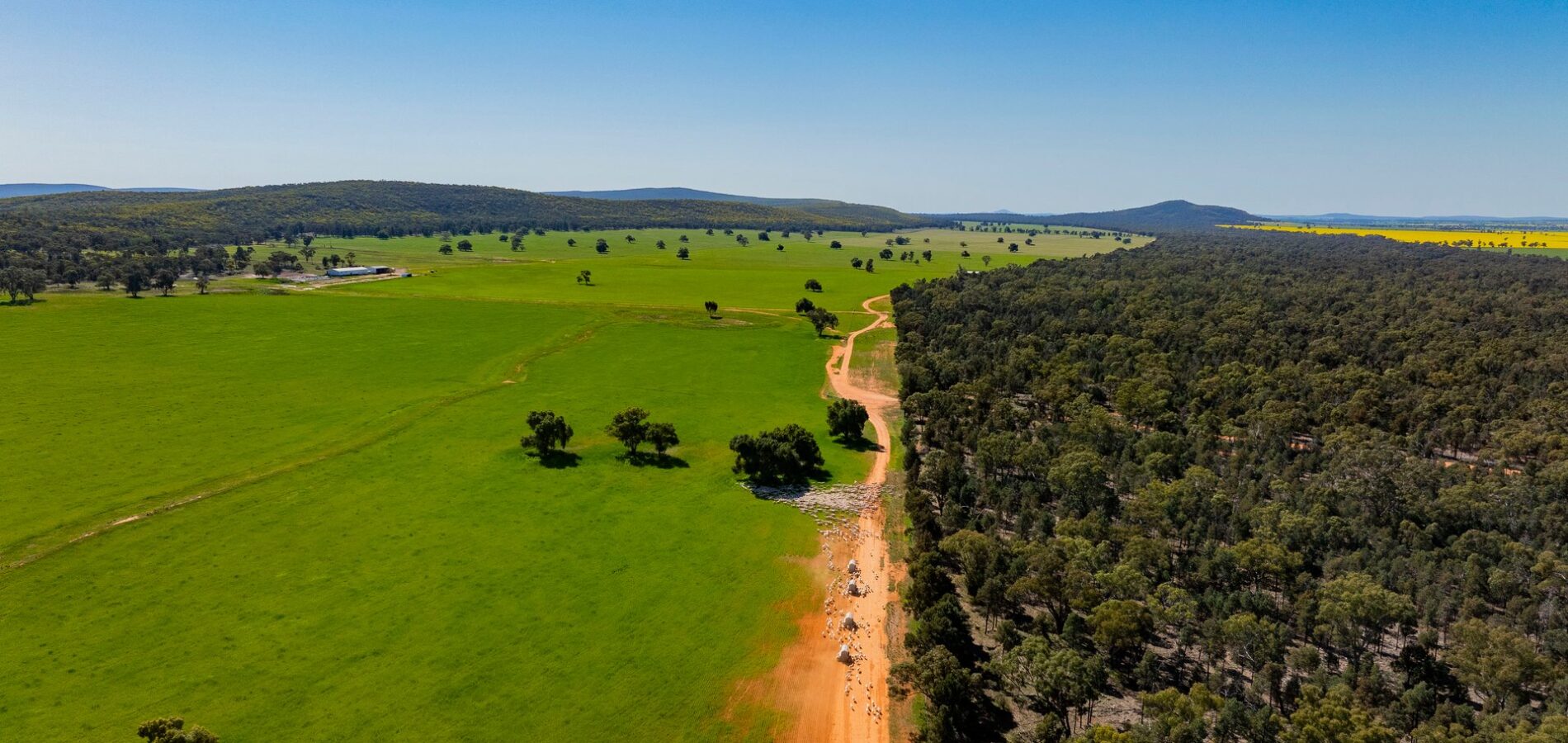 For Sale - 1147 Kamarah Road - New Property in Narrandera - Real Estate by Craig Pellow