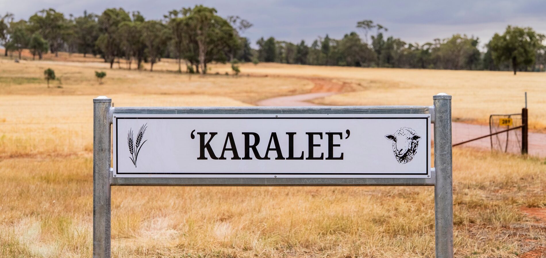 For Sale - 289 Kamarah Road - New Property in Narrandera - Real Estate by Craig Pellow