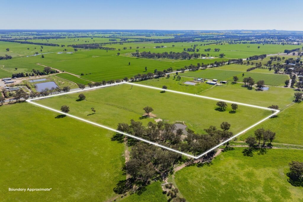 For Sale - 4648 Goldfields Way - New Property in Temora - Real Estate by Lachlan Pellow