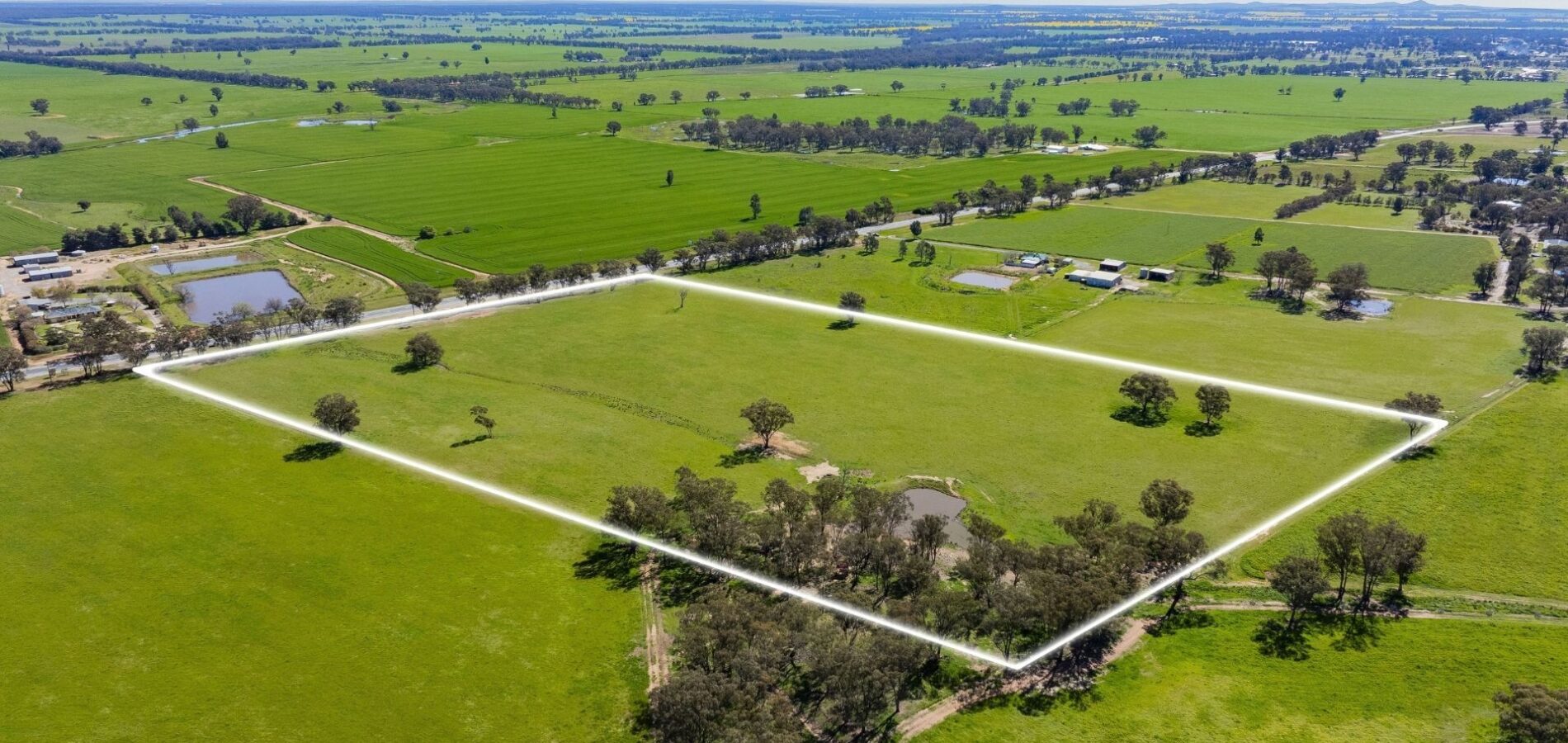For Sale - 4648 Goldfields Way - New Property in Temora - Real Estate by Lachlan Pellow