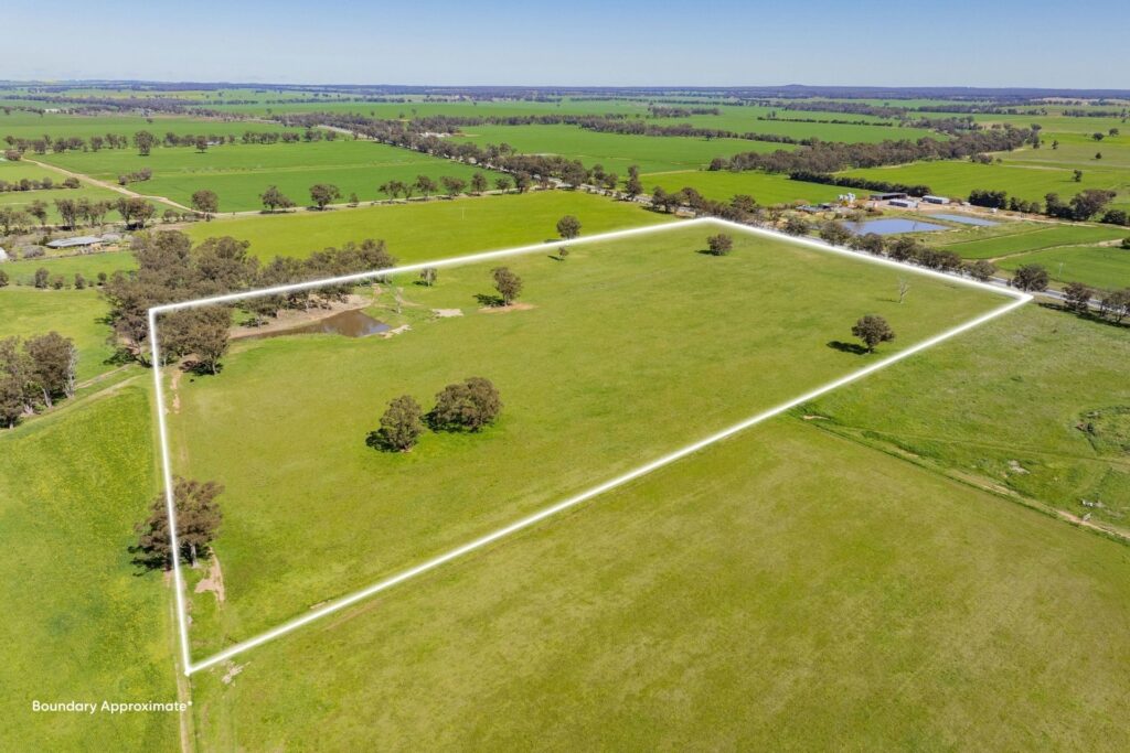 For Sale - 4648 Goldfields Way - New Property in Temora - Real Estate by Lachlan Pellow