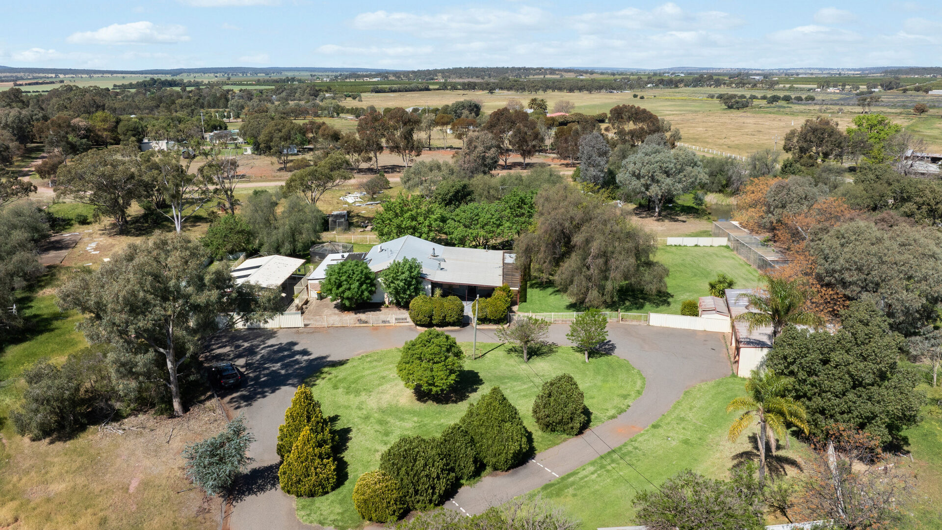 For Sale - 226 Carbone Road - New Property in Leeton - Real Estate by Julie Valenzisi