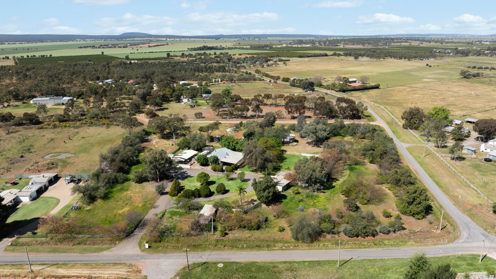 For Sale - 226 Carbone Road - New Property in Leeton - Real Estate by Julie Valenzisi