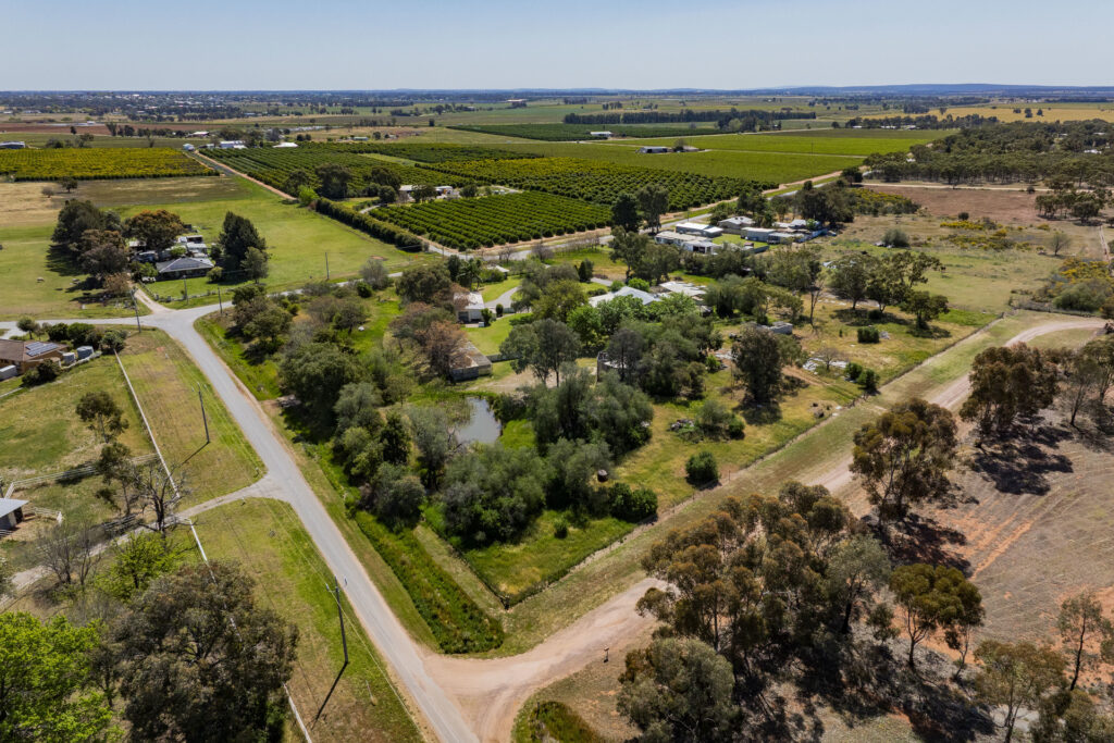 For Sale - 226 Carbone Road - New Property in Leeton - Real Estate by Julie Valenzisi