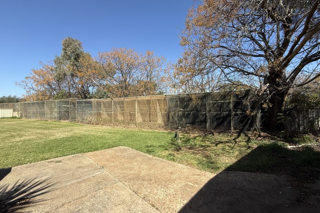 For Sale - 226 Carbone Road - New Property in Leeton - Real Estate by Julie Valenzisi