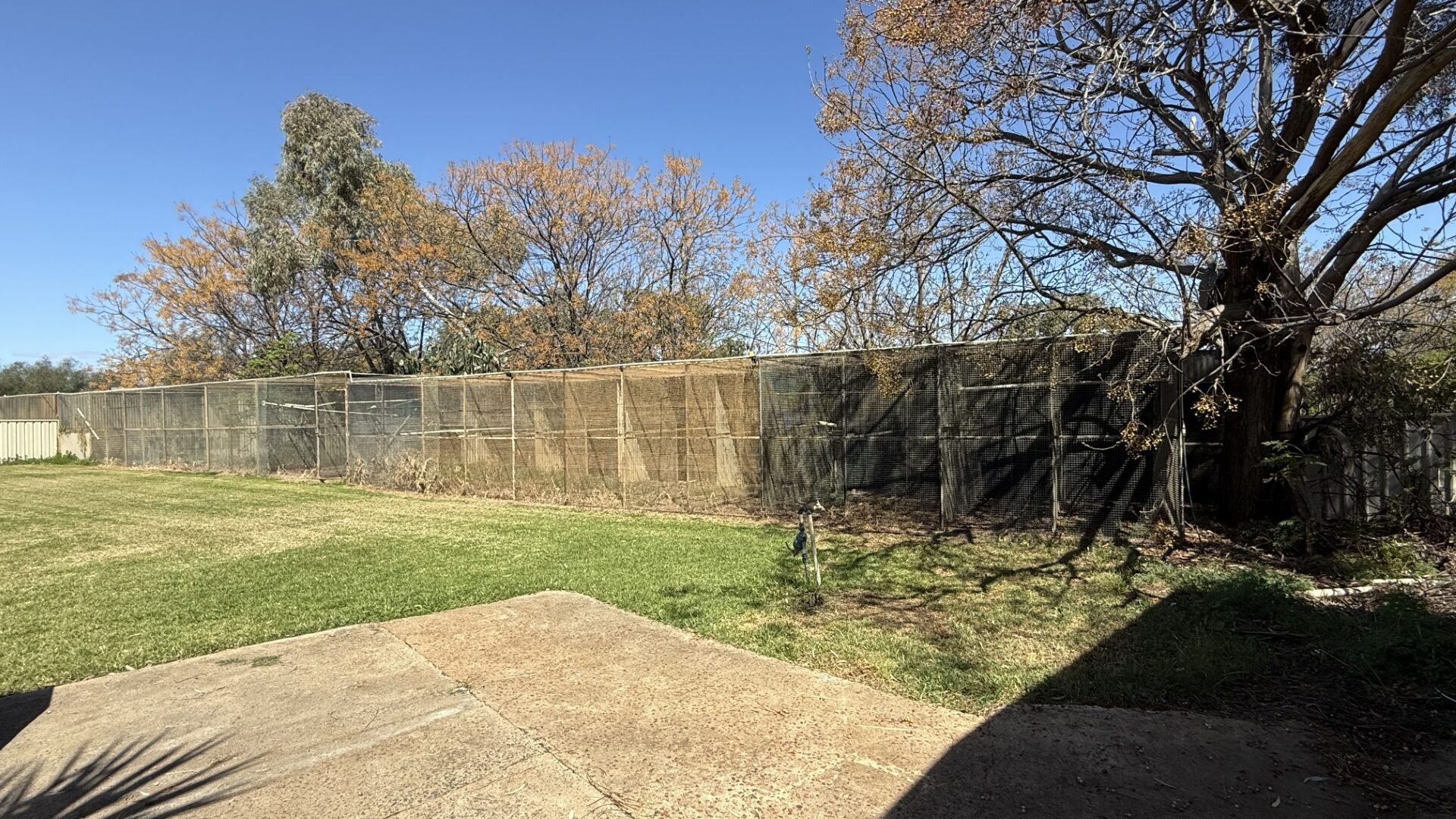 For Sale - 226 Carbone Road - New Property in Leeton - Real Estate by Julie Valenzisi