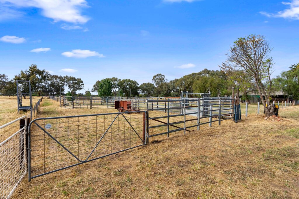 For Sale - 252 Irrigation Way - New Property in Narrandera - Real Estate by Andrew Pellow