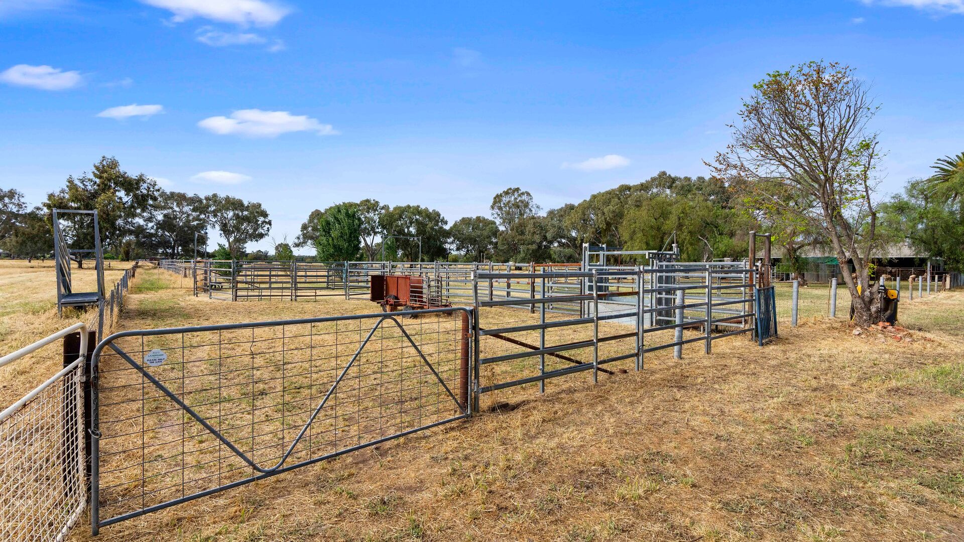 For Sale - 252 Irrigation Way - New Property in Narrandera - Real Estate by Andrew Pellow