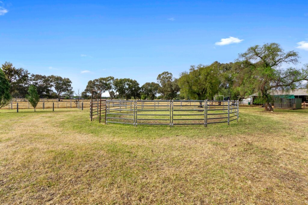 For Sale - 252 Irrigation Way - New Property in Narrandera - Real Estate by Andrew Pellow