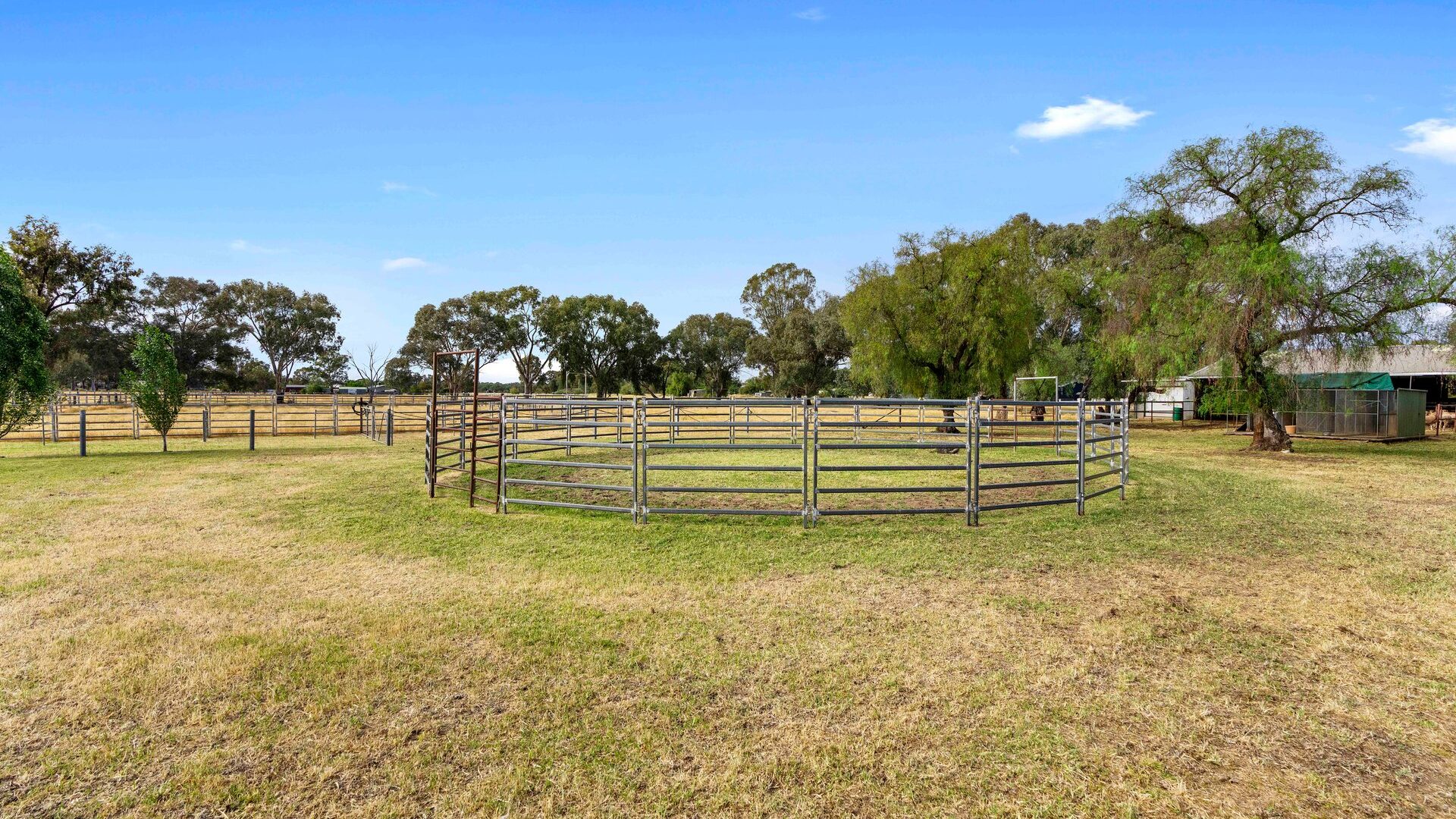 For Sale - 252 Irrigation Way - New Property in Narrandera - Real Estate by Andrew Pellow
