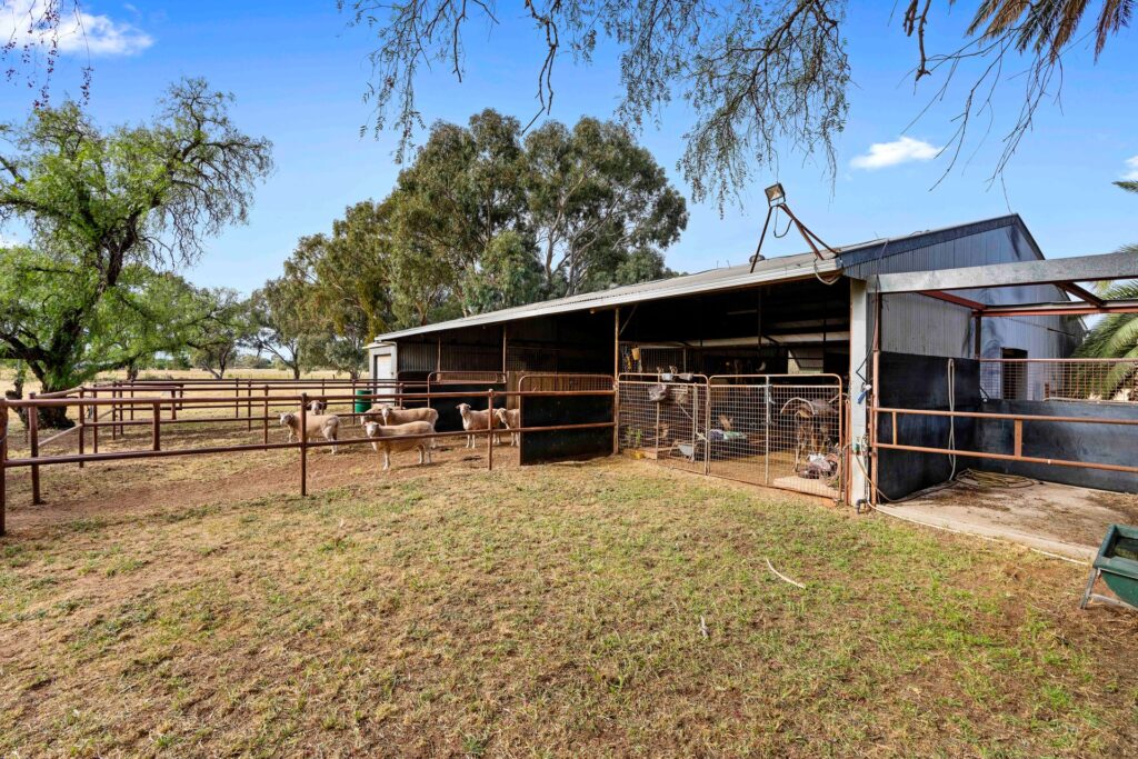 For Sale - 252 Irrigation Way - New Property in Narrandera - Real Estate by Andrew Pellow