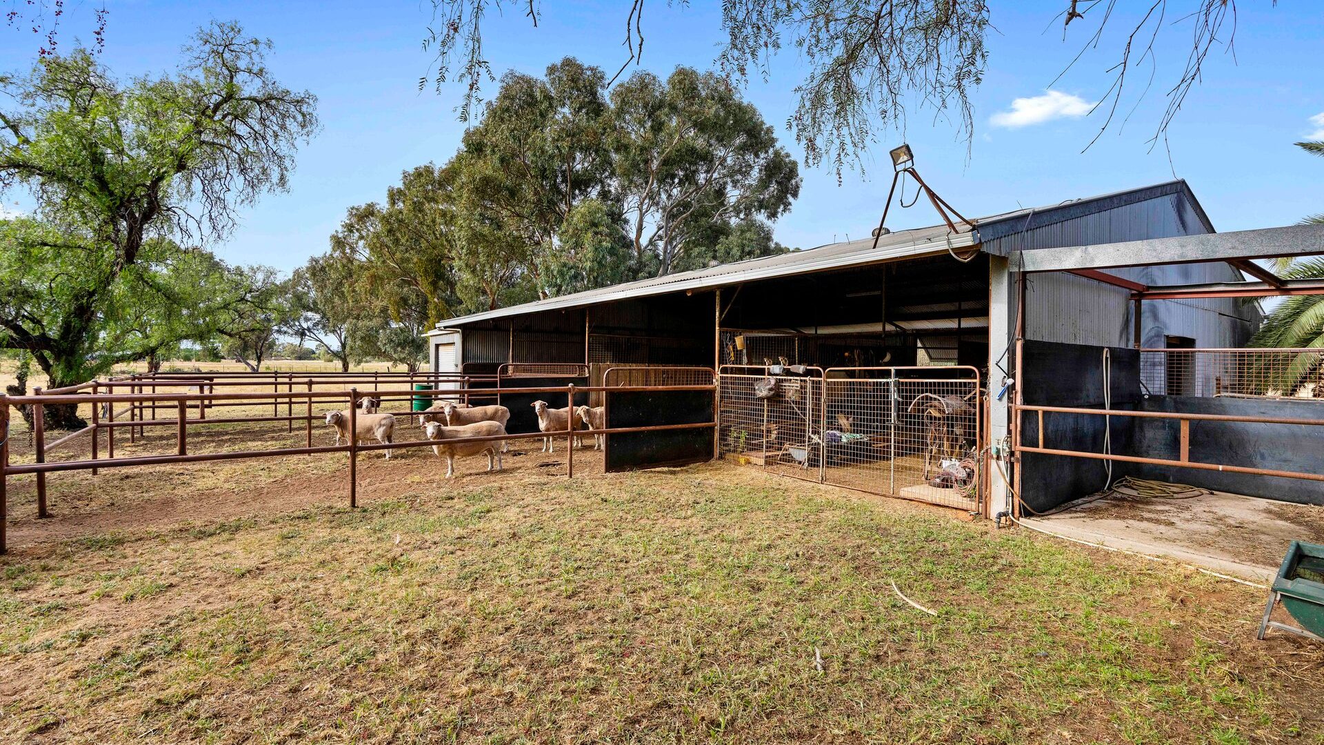 For Sale - 252 Irrigation Way - New Property in Narrandera - Real Estate by Andrew Pellow