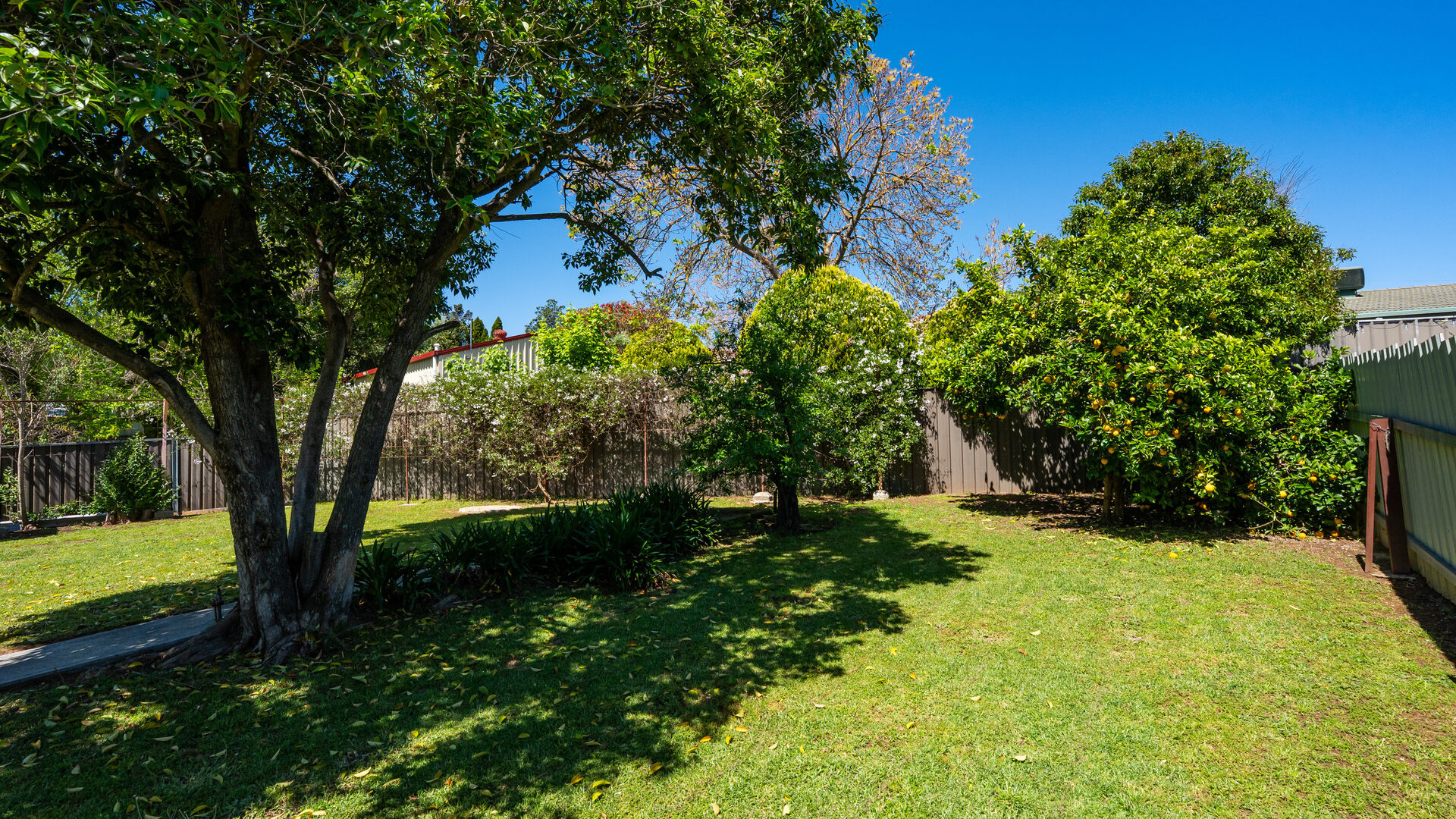 For Sale - 297 Vickers Road - New Property in Lavington - Real Estate by Philip Bell