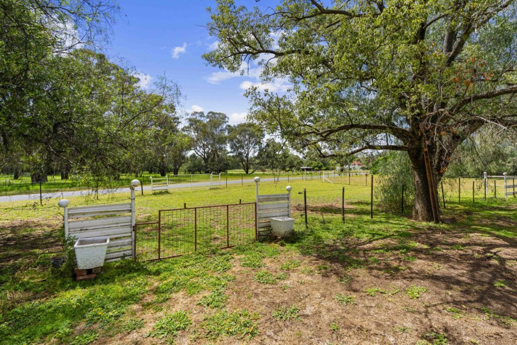 For Sale - 2 Hoskins Street - New Property in Stockinbingal - Real Estate by Lachlan Pellow