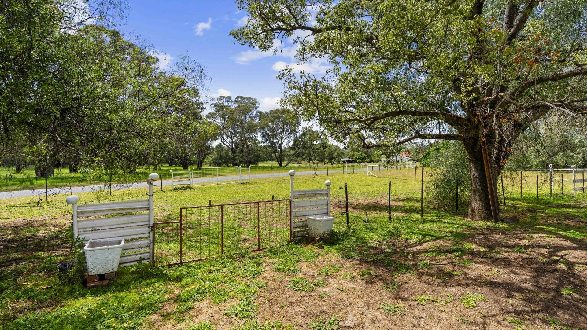 For Sale - 2 Hoskins Street - New Property in Stockinbingal - Real Estate by Lachlan Pellow