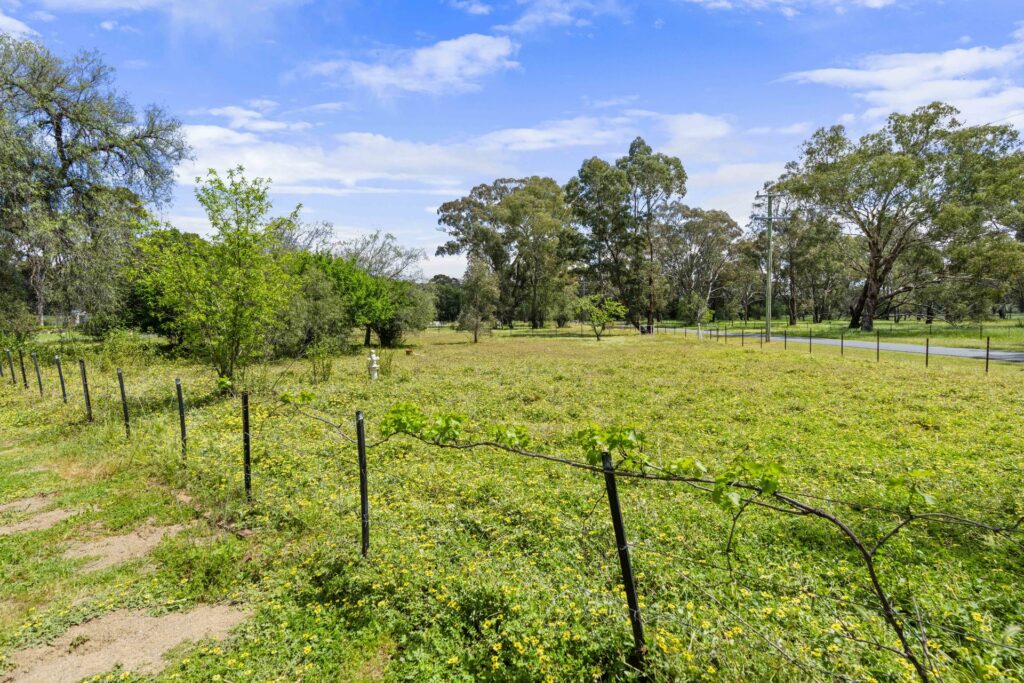 For Sale - 2 Hoskins Street - New Property in Stockinbingal - Real Estate by Lachlan Pellow