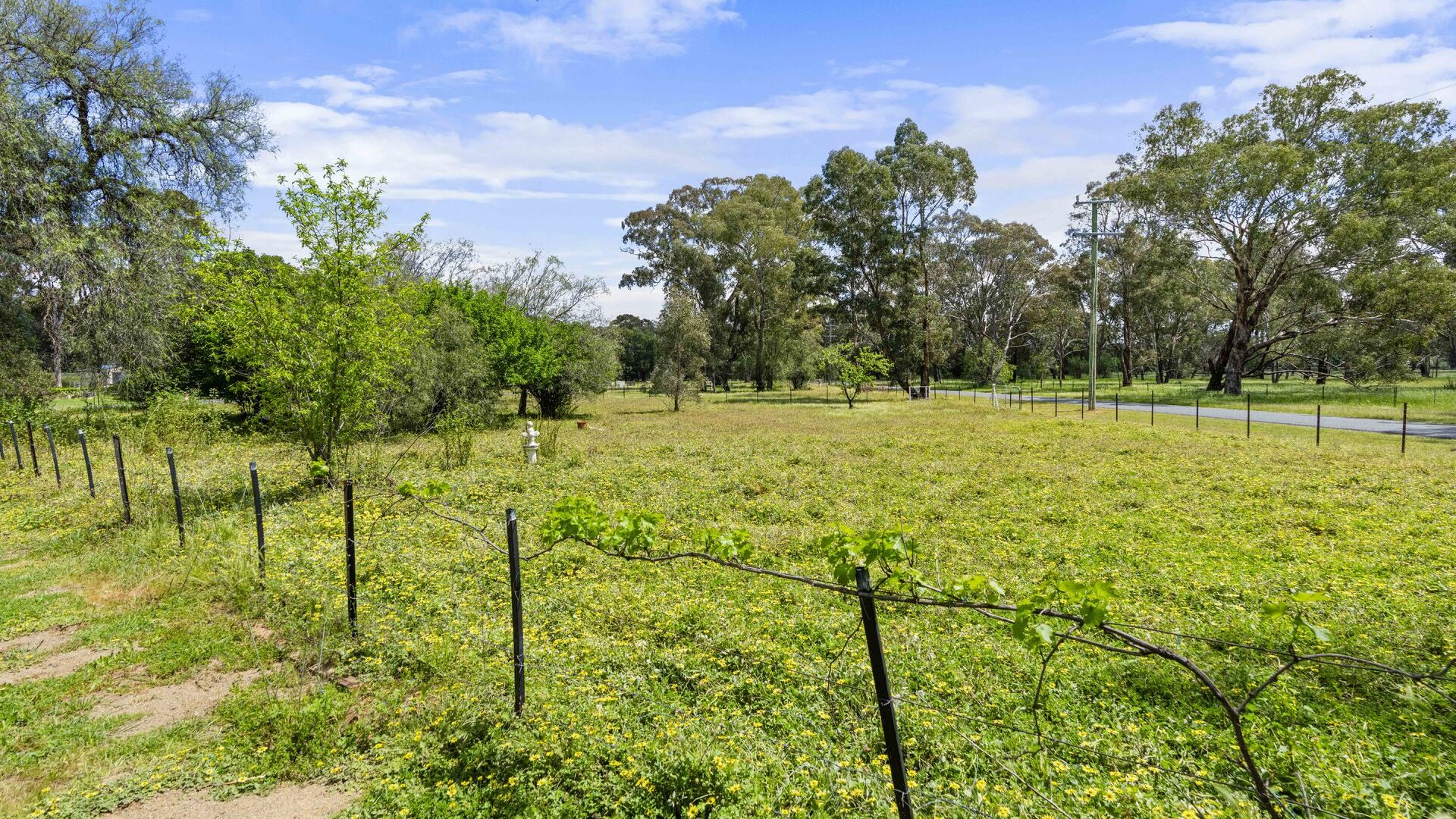 For Sale - 2 Hoskins Street - New Property in Stockinbingal - Real Estate by Lachlan Pellow