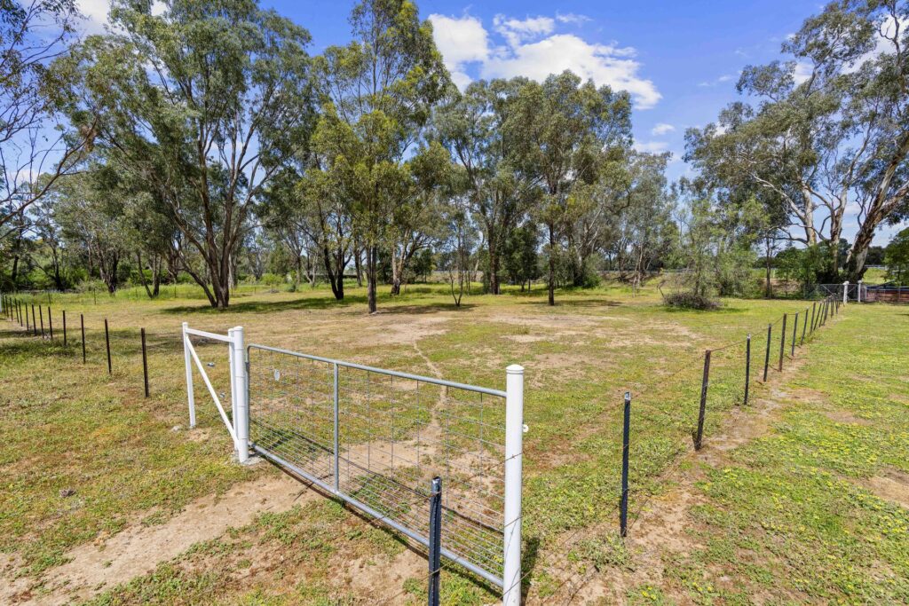 For Sale - 2 Hoskins Street - New Property in Stockinbingal - Real Estate by Lachlan Pellow