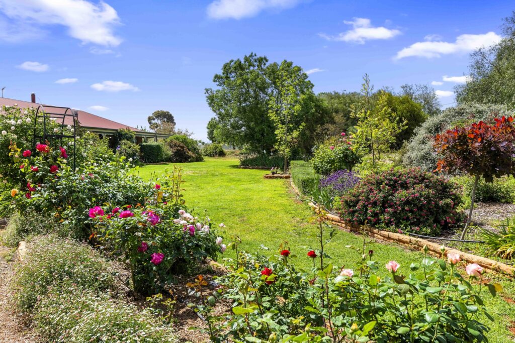 For Sale - 4 Rosella Street - New Property in Temora - Real Estate by Lachlan Pellow