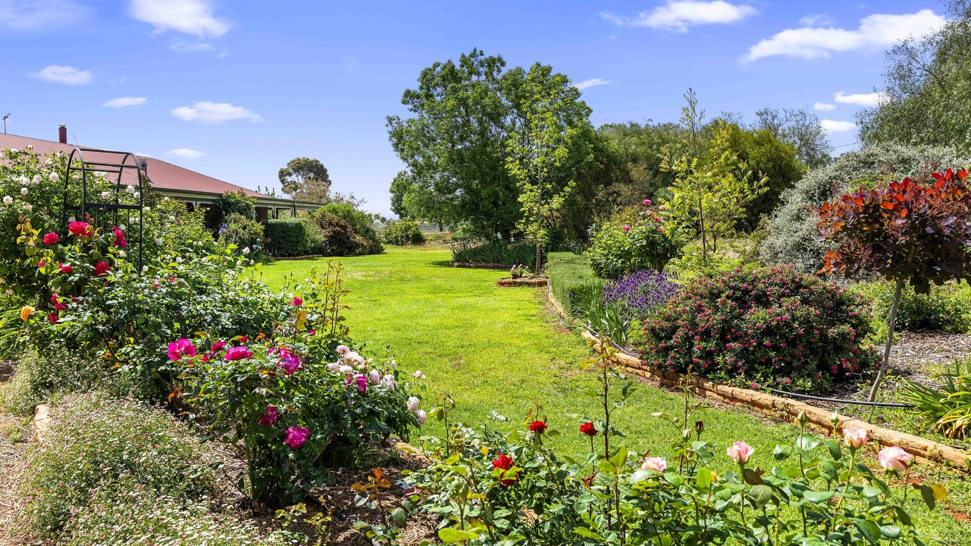 For Sale - 4 Rosella Street - New Property in Temora - Real Estate by Lachlan Pellow