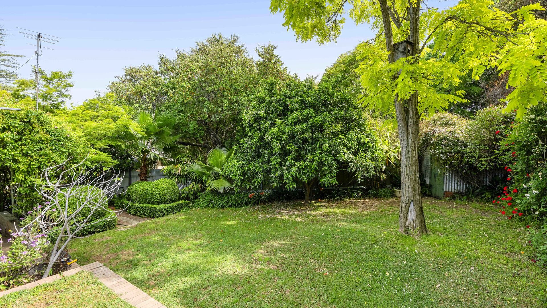 For Sale - 2 Falcon Place - New Property in Kooringal - Real Estate by Andrew Pellow