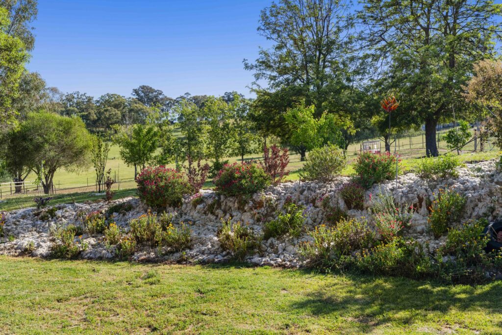 For Sale - 168 Pinkerton Road - New Property in Cootamundra - Real Estate by Lachlan Pellow