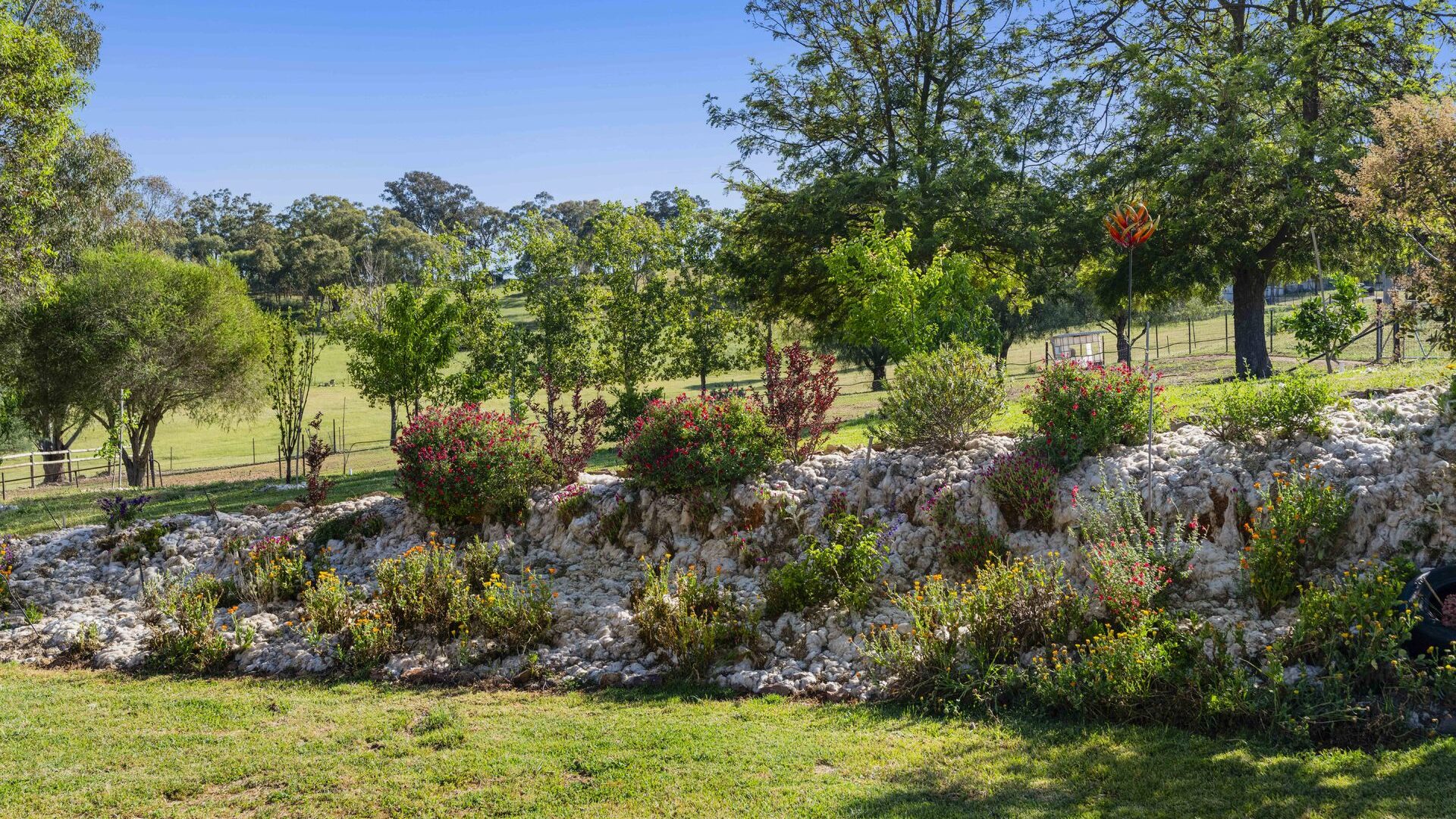 For Sale - 168 Pinkerton Road - New Property in Cootamundra - Real Estate by Lachlan Pellow