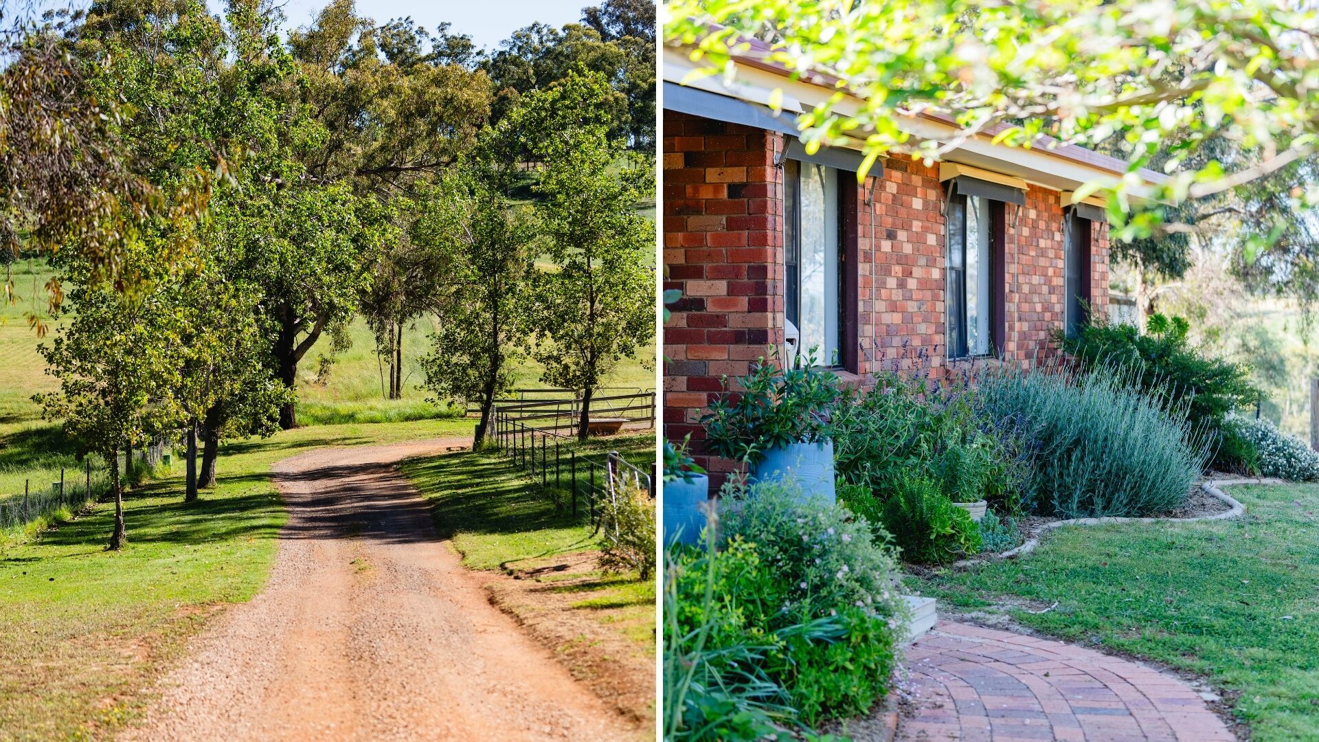 For Sale - 168 Pinkerton Road - New Property in Cootamundra - Real Estate by Lachlan Pellow