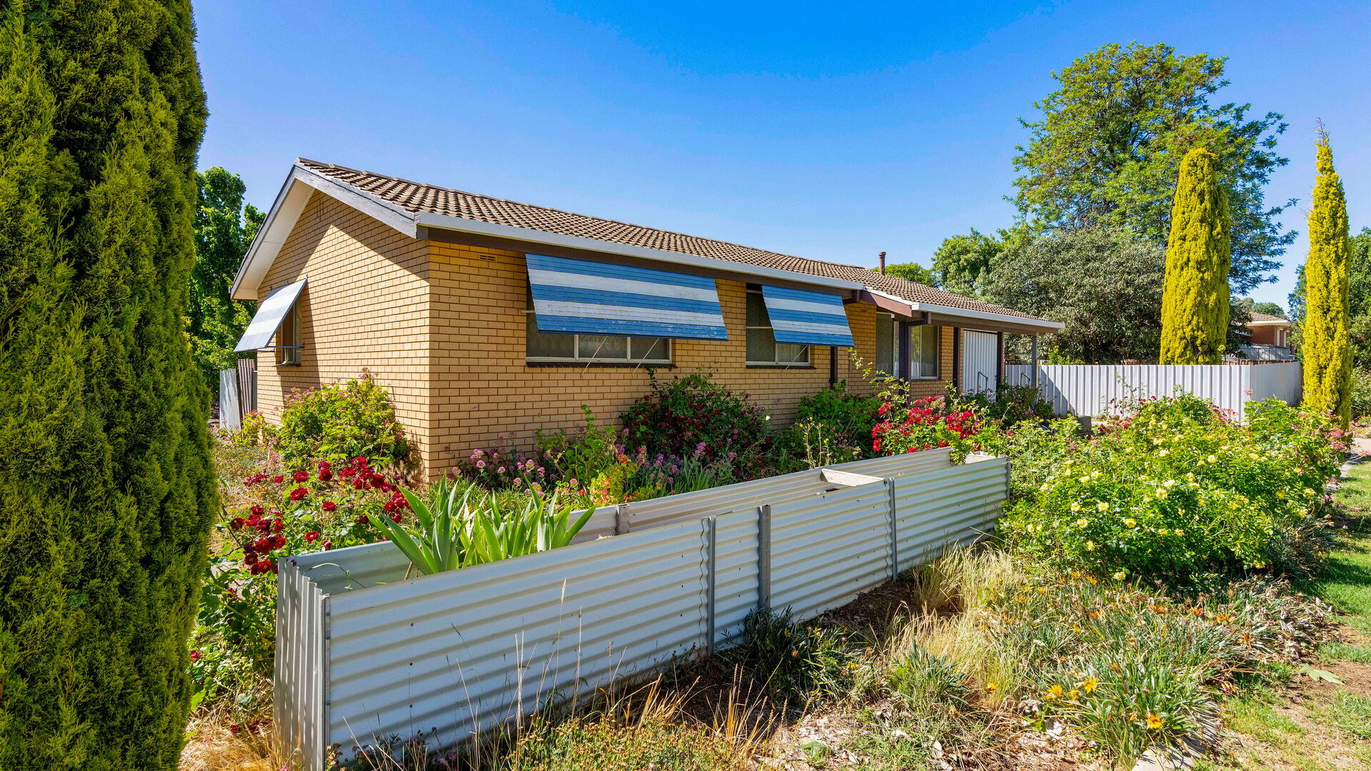 For Sale - 1 Dunn Avenue - New Property in Forest Hill - Real Estate by Andrew Pellow