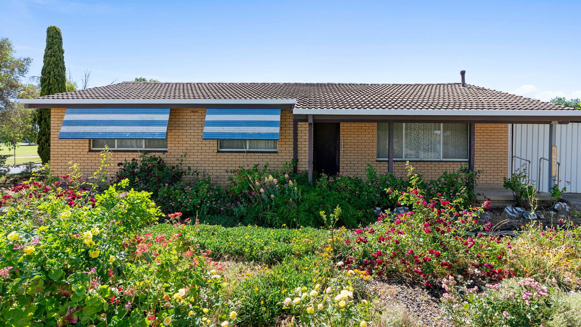 For Sale - 1 Dunn Avenue - New Property in Forest Hill - Real Estate by Andrew Pellow