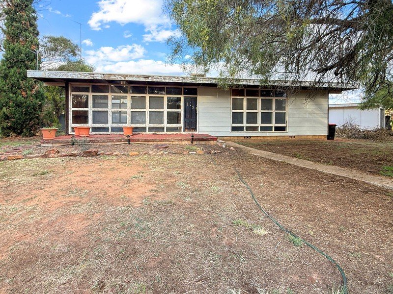12 Elberta Street